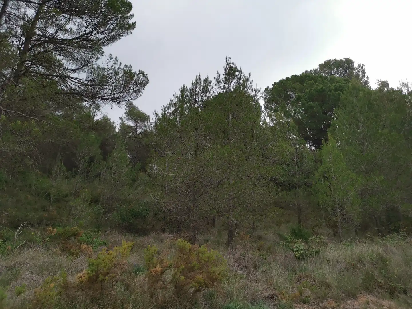 Residencial en venda en El Montmell