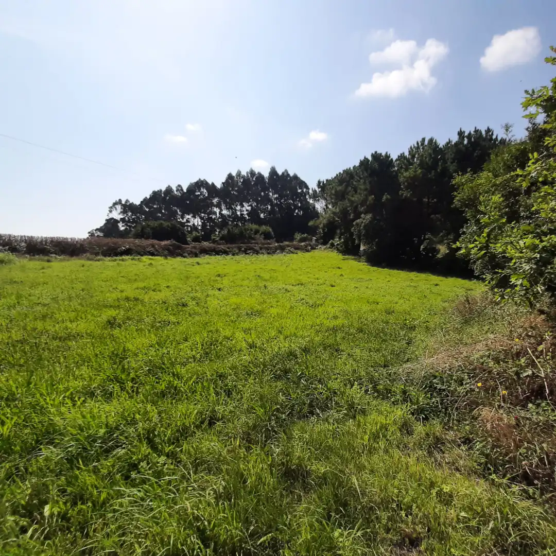 Casa o xalet en venda en Mañón amb Jardí privat, Terrassa i Moblat