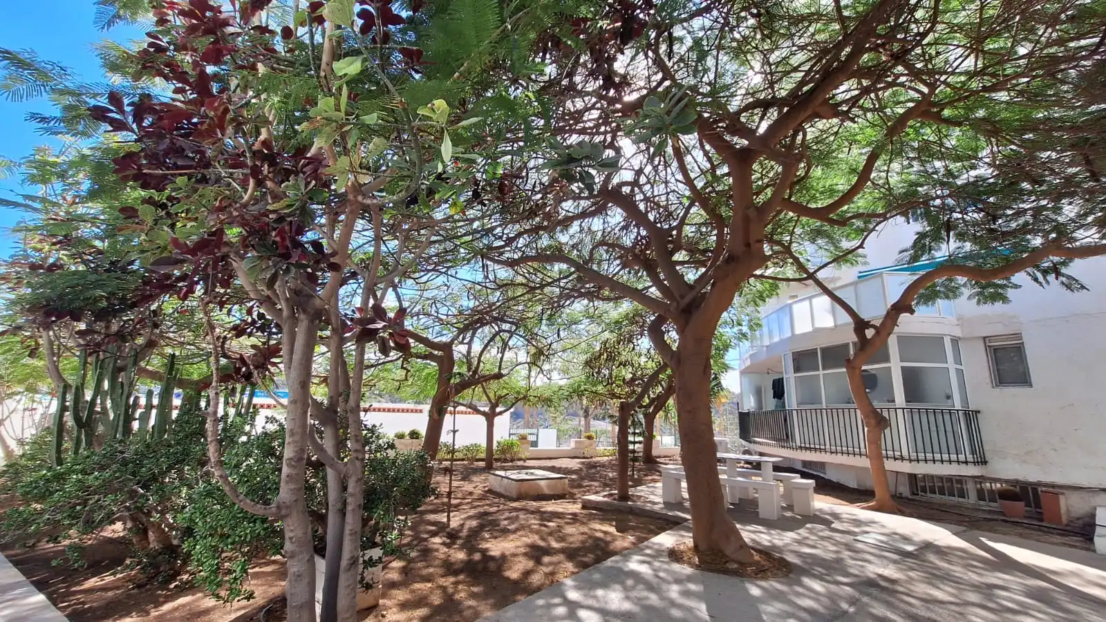 Vista exterior de Piso en venta en Adeje con Terraza y Piscina comunitaria