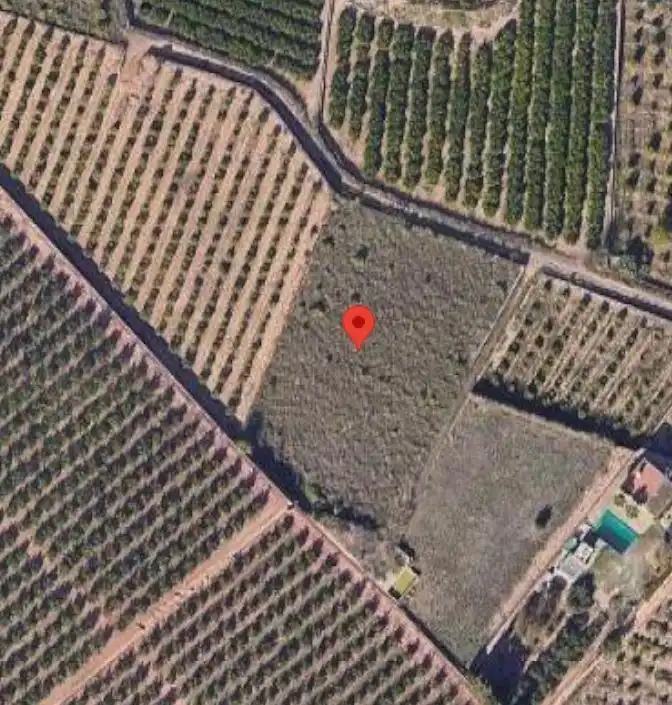 Terreny rústic en venda a Museros