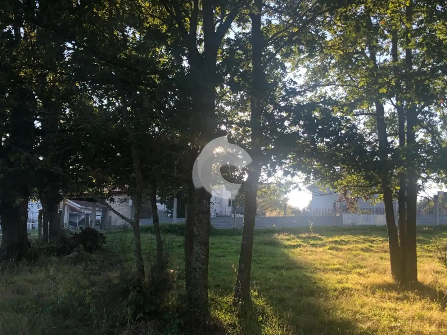 Terreni e lotti in vendita a Nogueira de Ramuín, imagen 8
