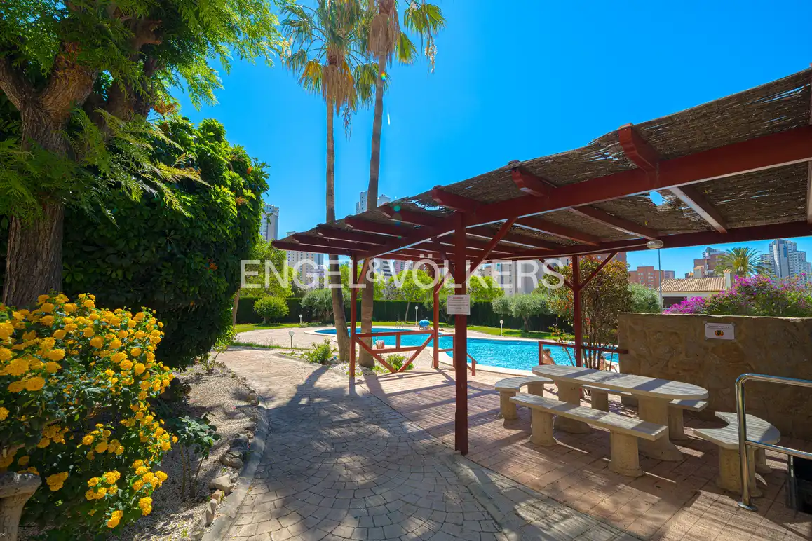 Piscina de Apartamento en venta en Benidorm con Aire acondicionado, Trastero y Amueblado
