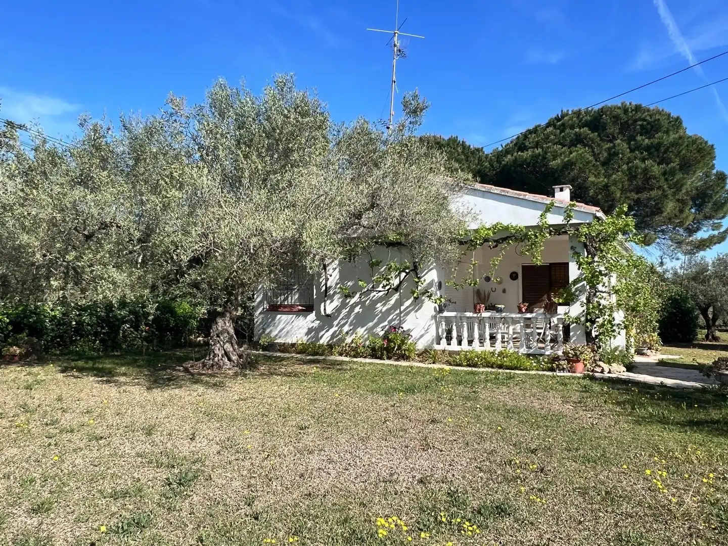 Garten von Haus oder Chalet zum Verkauf in La Ràpita mit Privatgarten, Terrasse und Möbliert