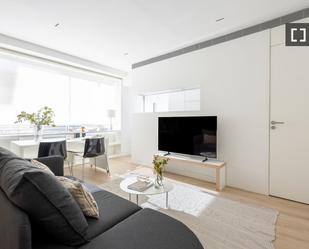 Living room of Flat to rent in  Madrid Capital  with Air Conditioner, Heating and Furnished