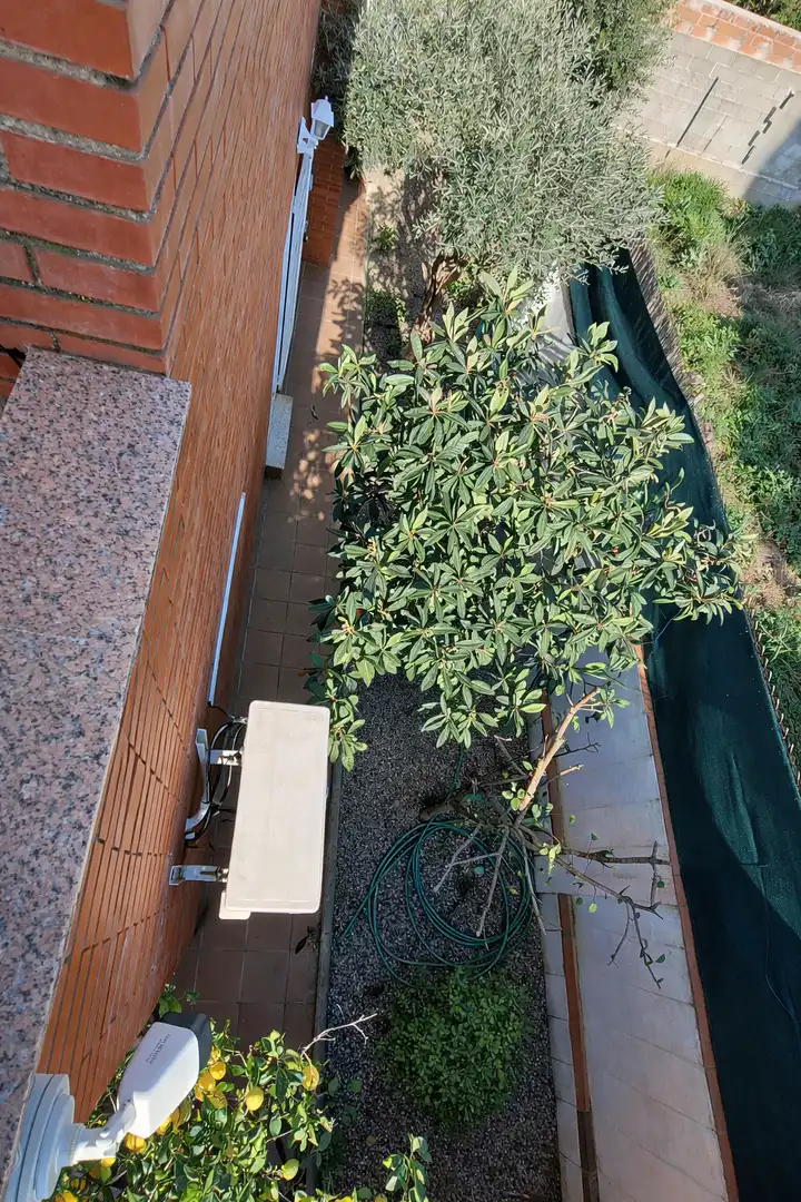 Terraza de Casa o chalet en venta en El Vendrell