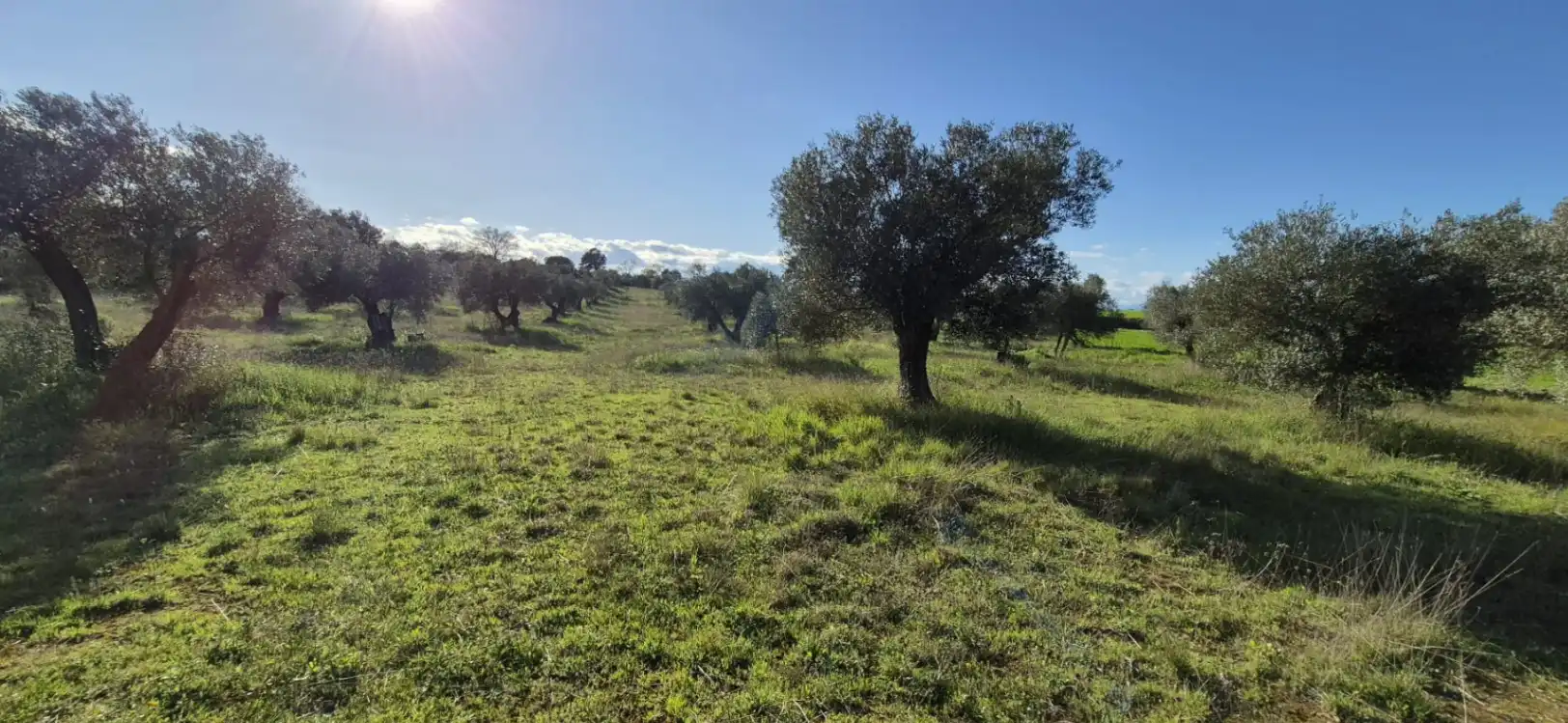 Residencial en venta en Ullastret