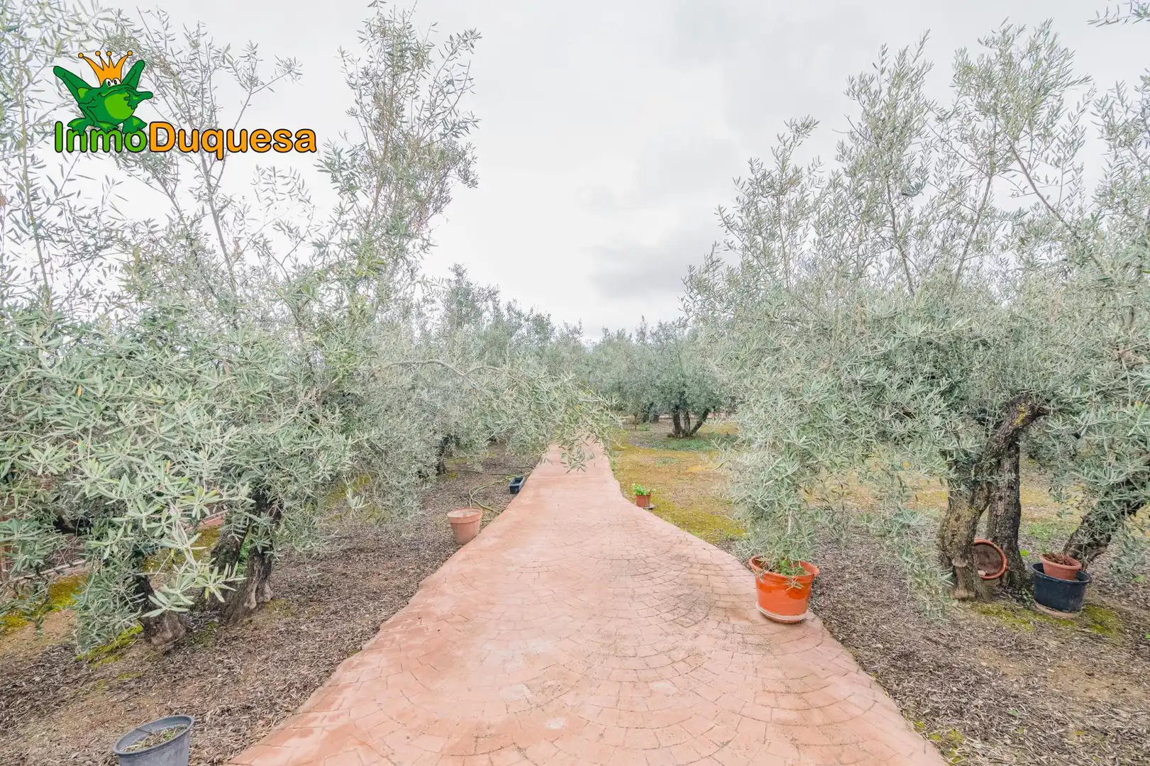 Garten von Country house zum Verkauf in Ogíjares
