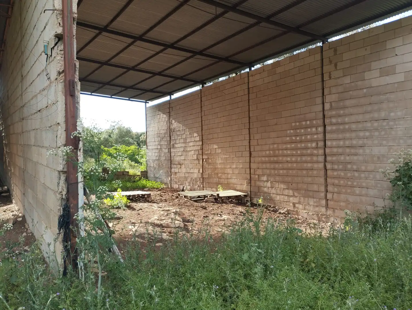 Terreno rustico in vendita a Calle Doña Mencía, imagen 8