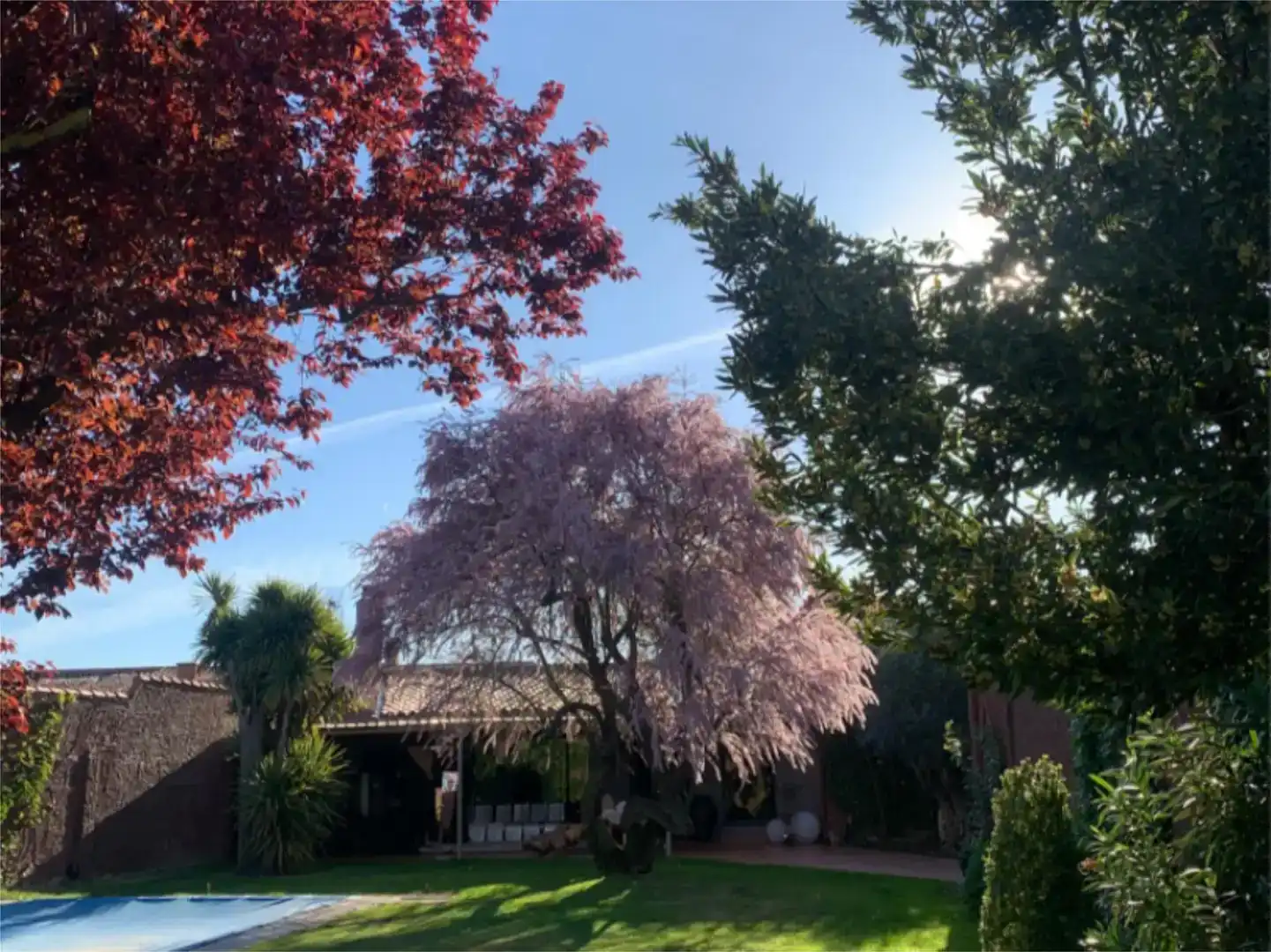 Vista exterior de Finca rústica en venta en El Perdigón  con Aire acondicionado, Jardín privado y Parquet