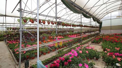 Foto 3 von Fabrikhallen zum Verkauf in Terrenos Ue-al-01(la Alqueria), Alquería - Torrealquería, Alhaurín de la Torre