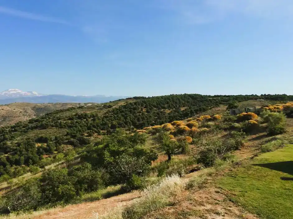 Finca rústica en venda en Murtas amb Aire condicionat, Jardí privat i Traster