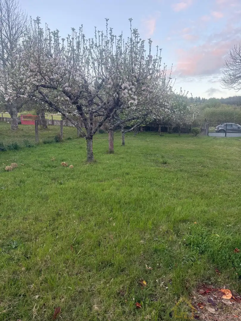 Casa o chalet en venta en Friol