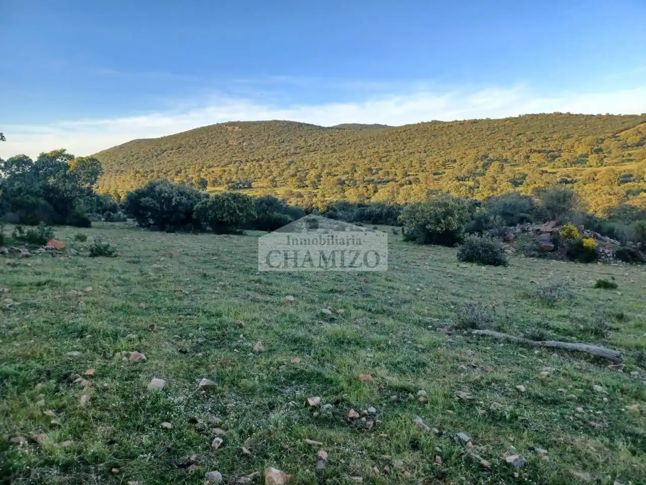 Grundstücke zum Verkauf in Peraleda del Zaucejo