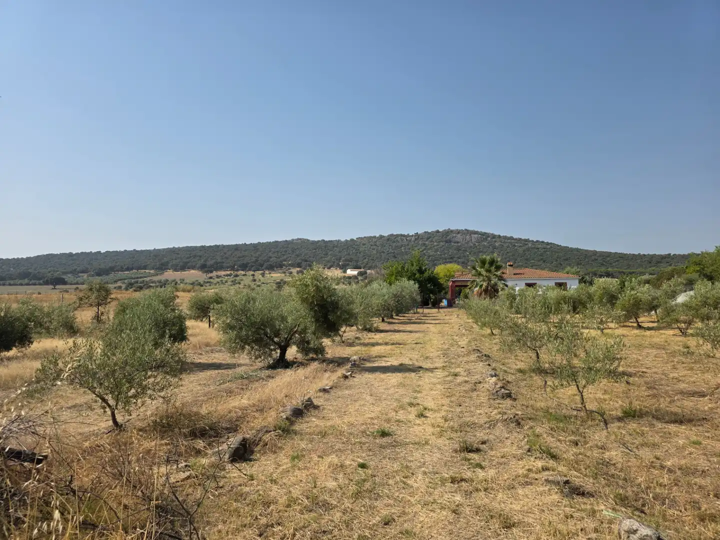 Chalet con jardín en venta en Villanueva de la Serena, imagen 20