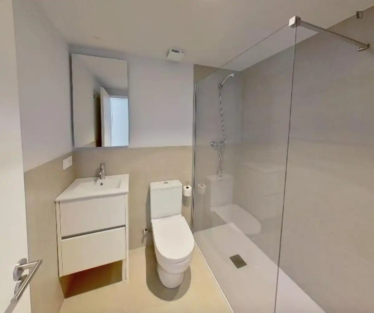 Bathroom of Flat for share in  Pamplona / Iruña  with Air Conditioner, Heating and Furnished