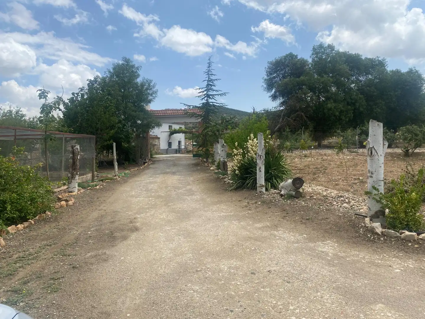 Finca rústica en venda en Benalúa de las Villas amb Aire condicionat, Calefacció i Jardí privat