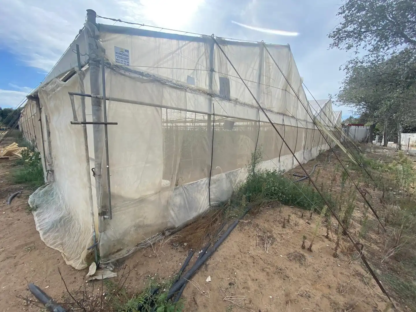 Terreno rustico in vendita a Barbate ciudad, imagen 6