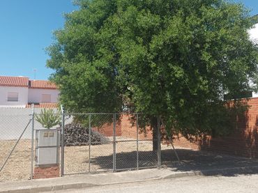 Lands and plots for sale in Villanueva de Alcardete