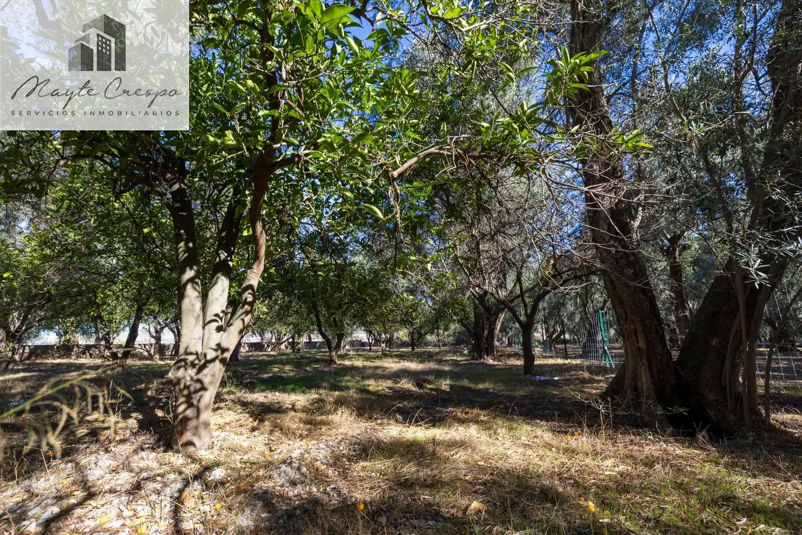 Terreno rustico in vendita a Lecrín, imagen 13