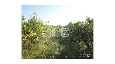 Foto 5 de Finca rústica en venda a Benicull de Xúquer, Valencia