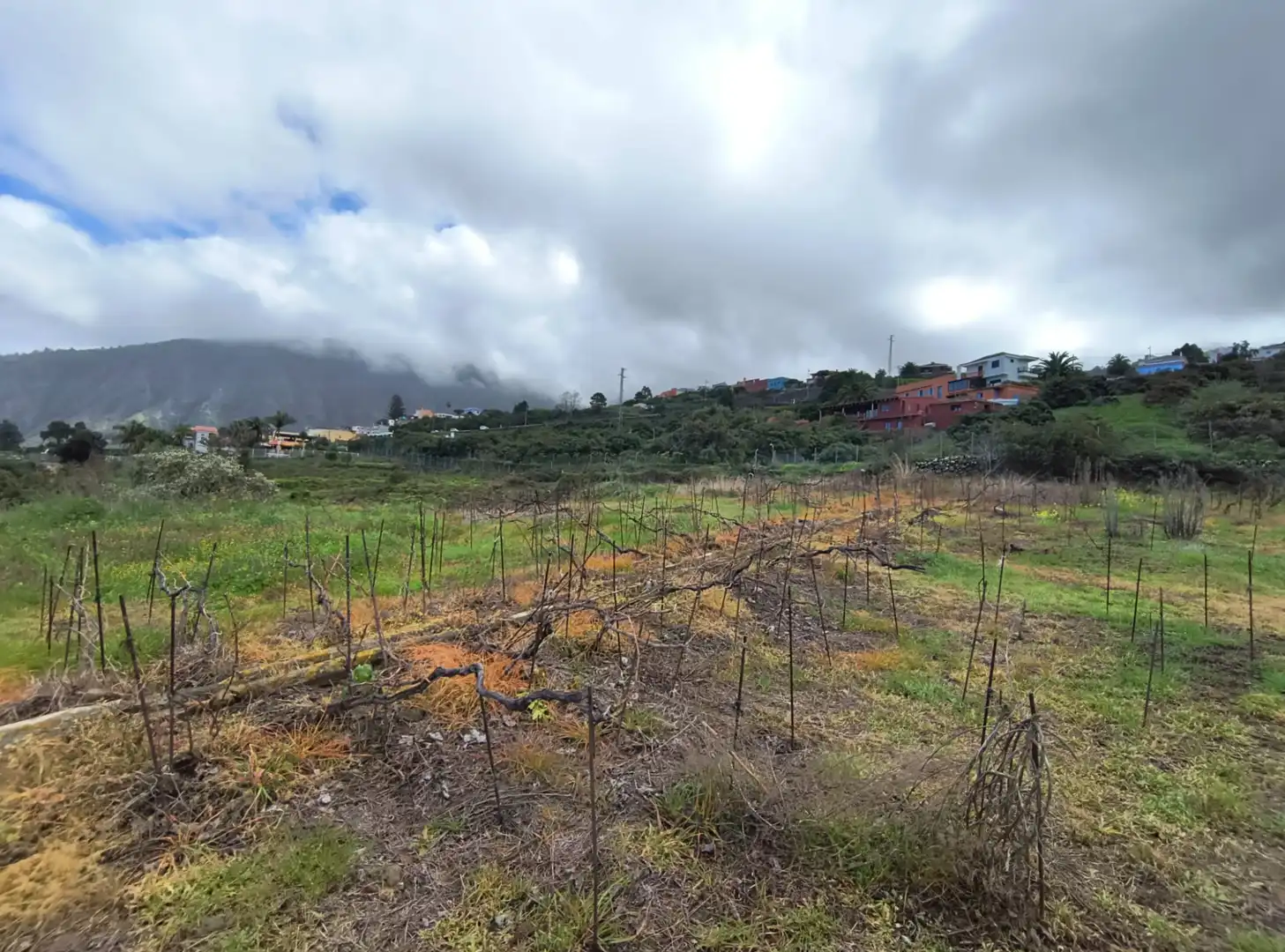 Houses for sale in La Orotava  with Private garden, Terrace and Storage room