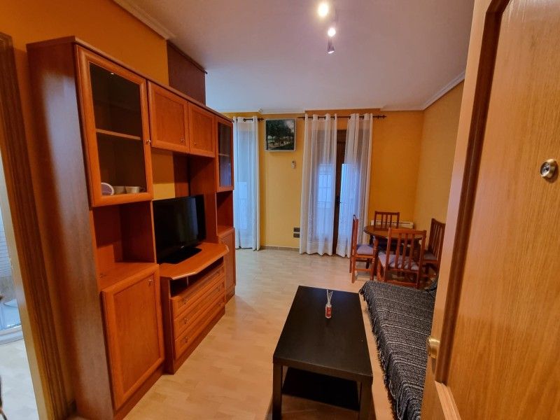 Sala d'estar de Apartament de lloguer en Plasencia amb Aire condicionat, Calefacció i Jardí privat
