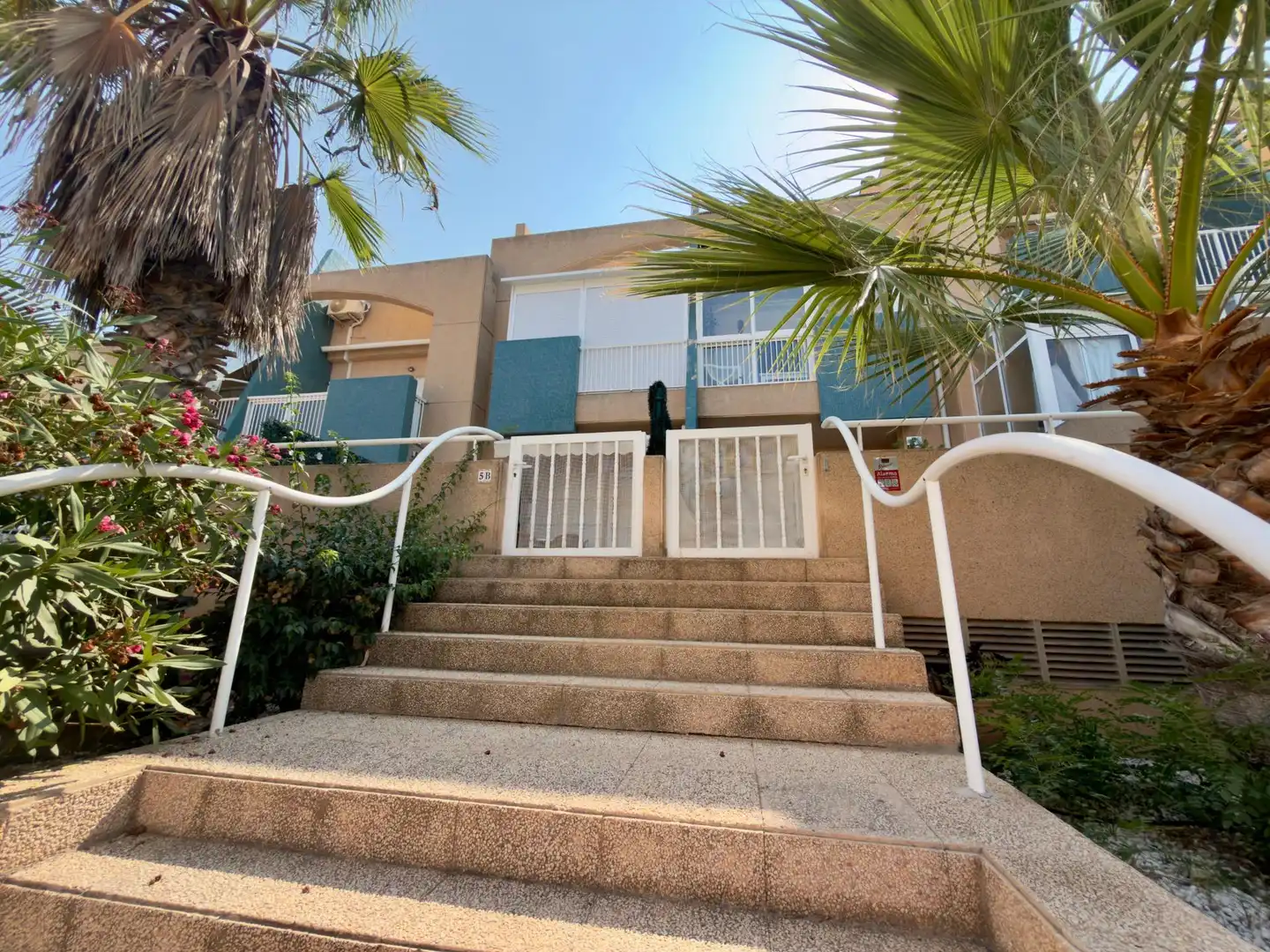 Vista exterior de Casa o chalet en venta en Torrevieja con Jardín privado, Amueblado y Piscina comunitaria