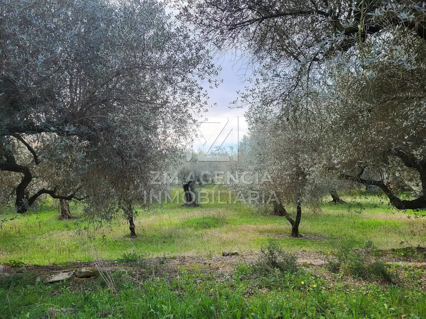 Terreno rustico in vendita a Cabanes, imagen 9