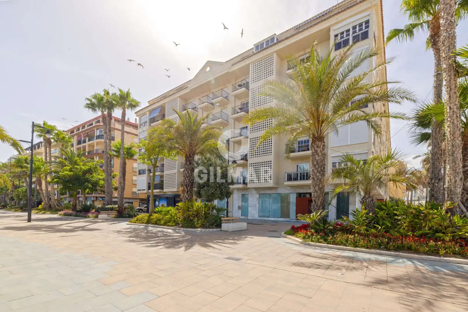 Apartment with terrace for sale in Estepona Pueblo, imagen 3