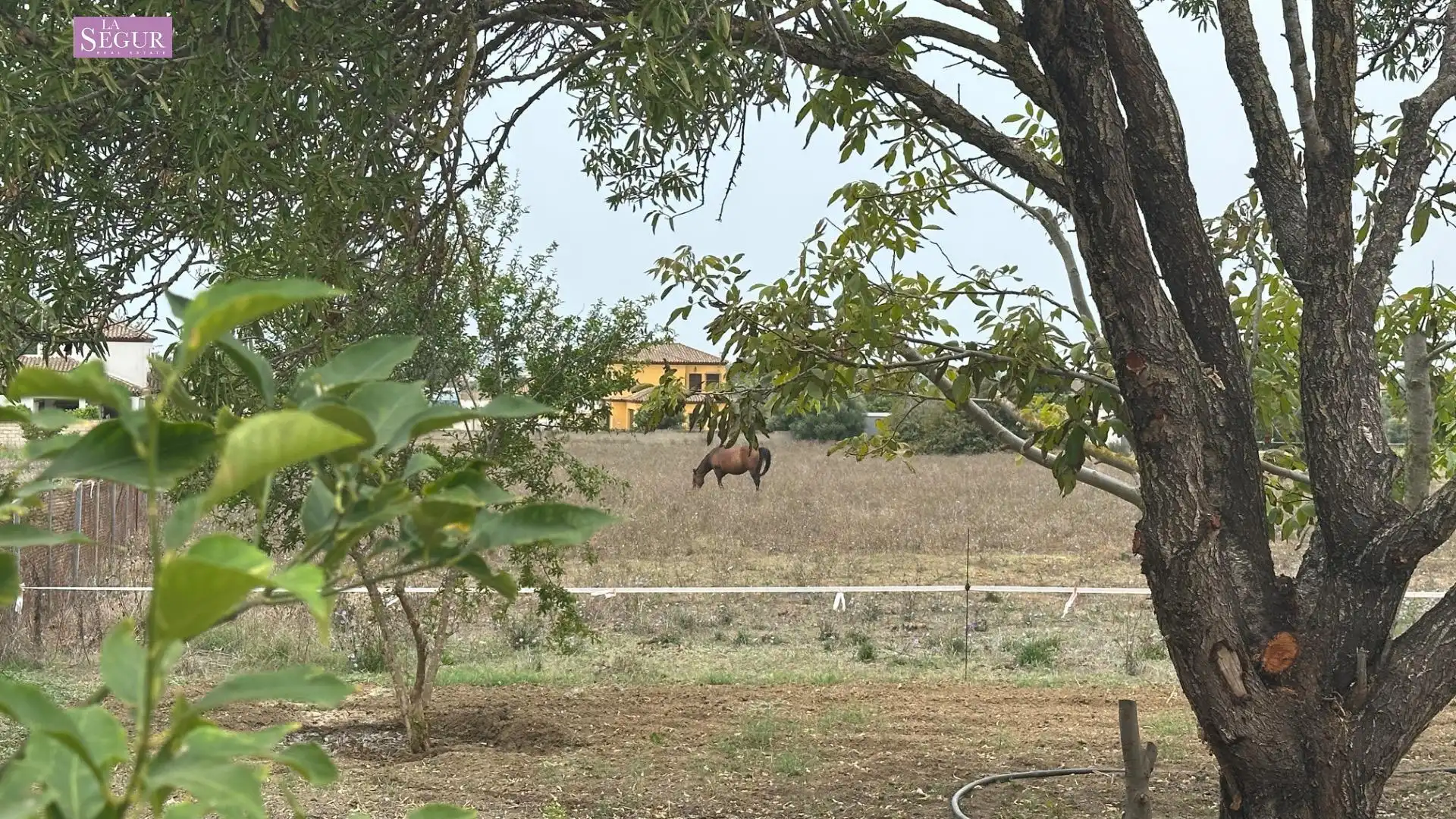 Detached house with garden for sale in Carretera de Barrio Nuevo, imagen 8