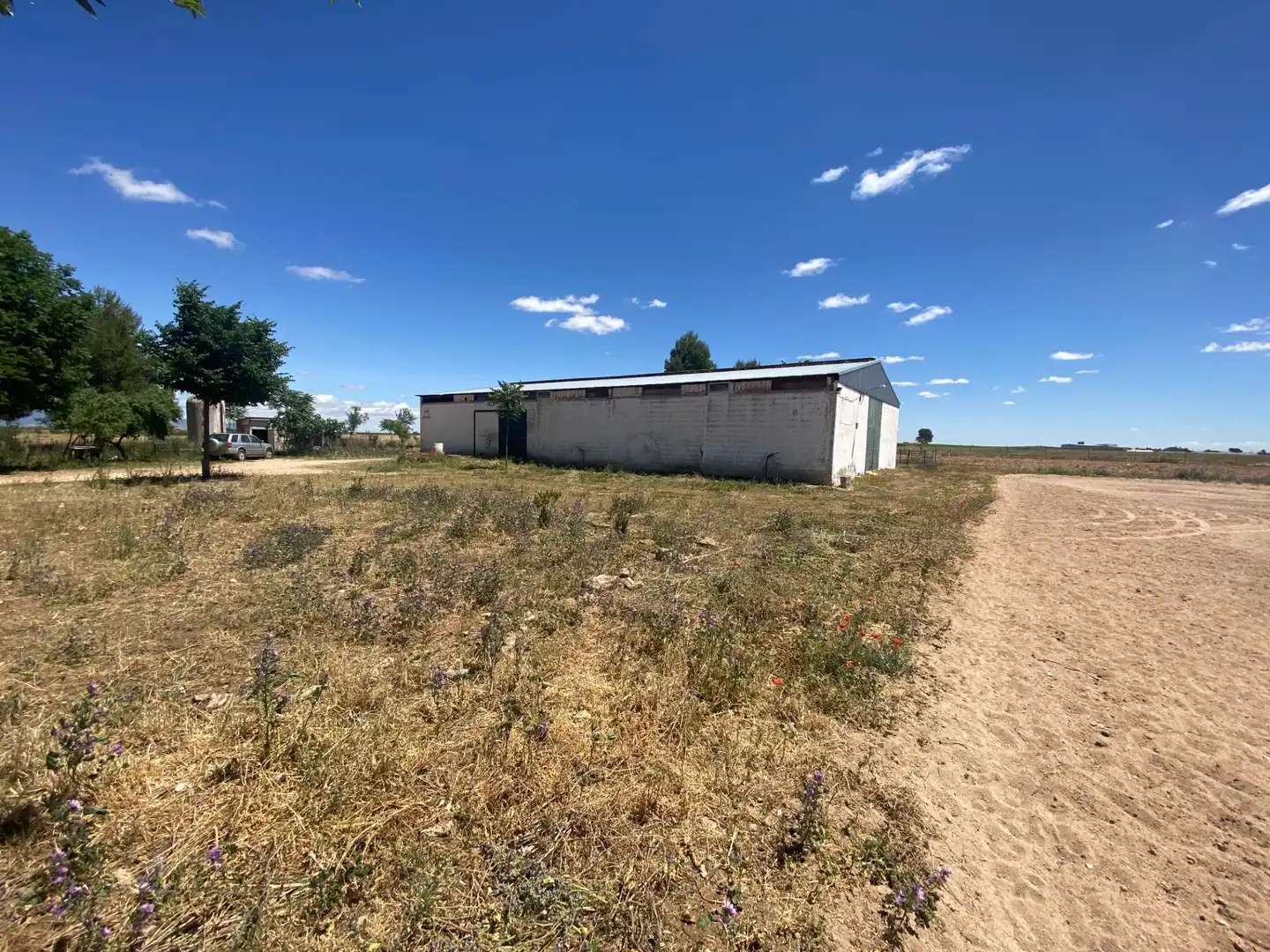 Terreny residencial en venda a Camino Camino de Torralba de Calatrava, imagen 38