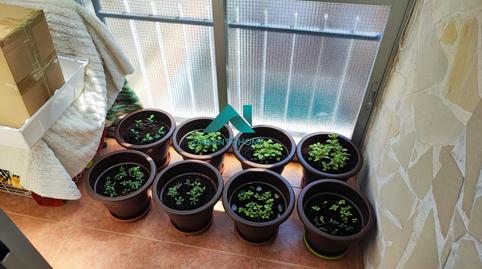 Foto 5 de Àtic en venda a Estación - Parque O'Donnell, Madrid