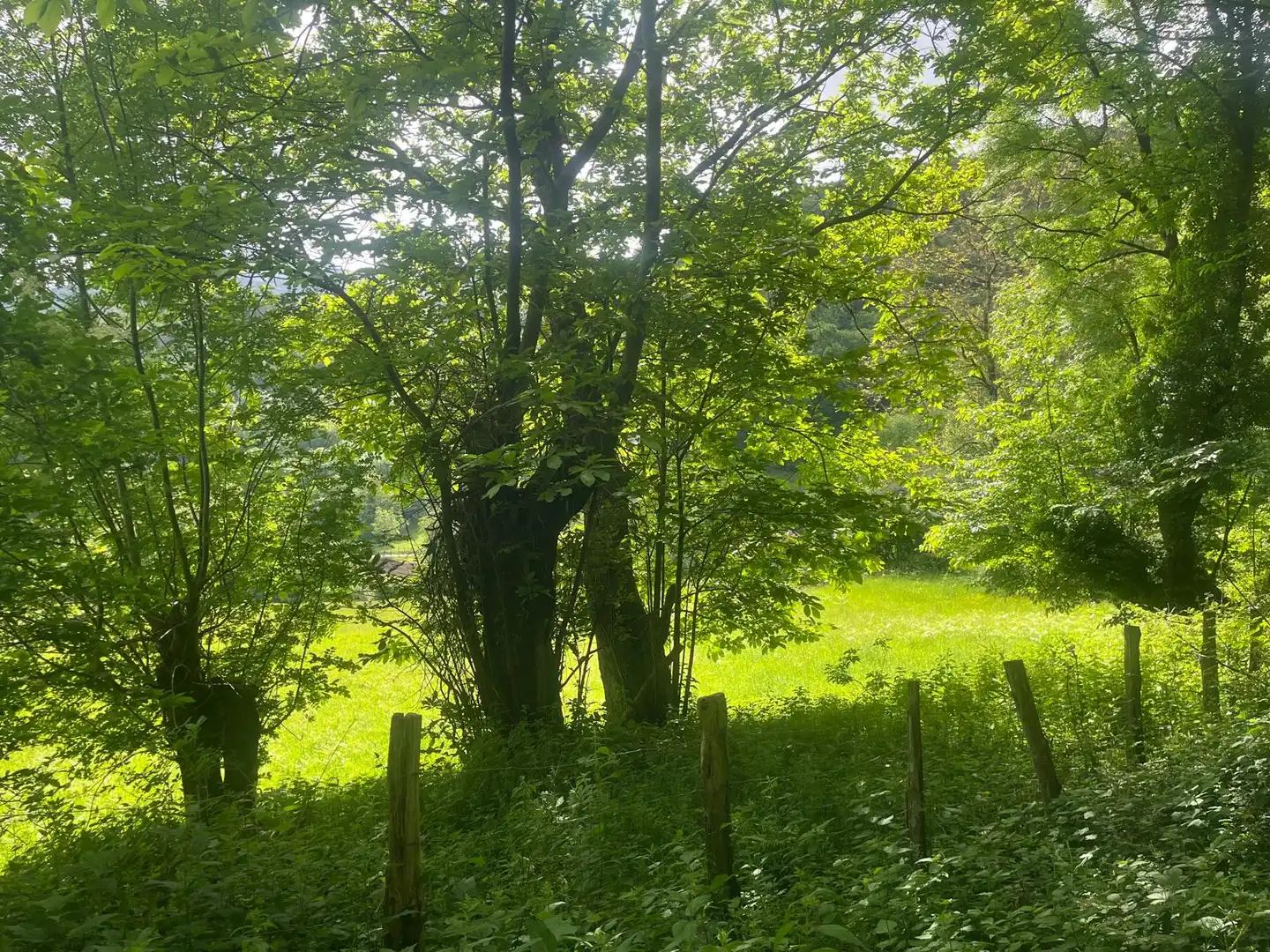 Land for sale in Beintza-Labaien