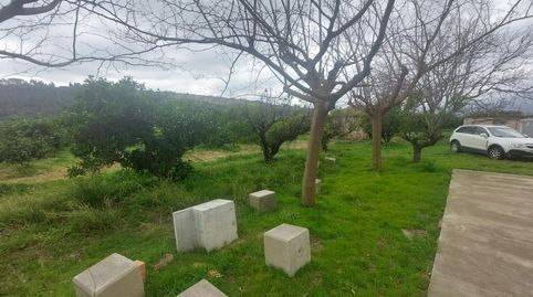 Foto 4 de Finca rústica en venda a Xerta, Xerta, Tarragona