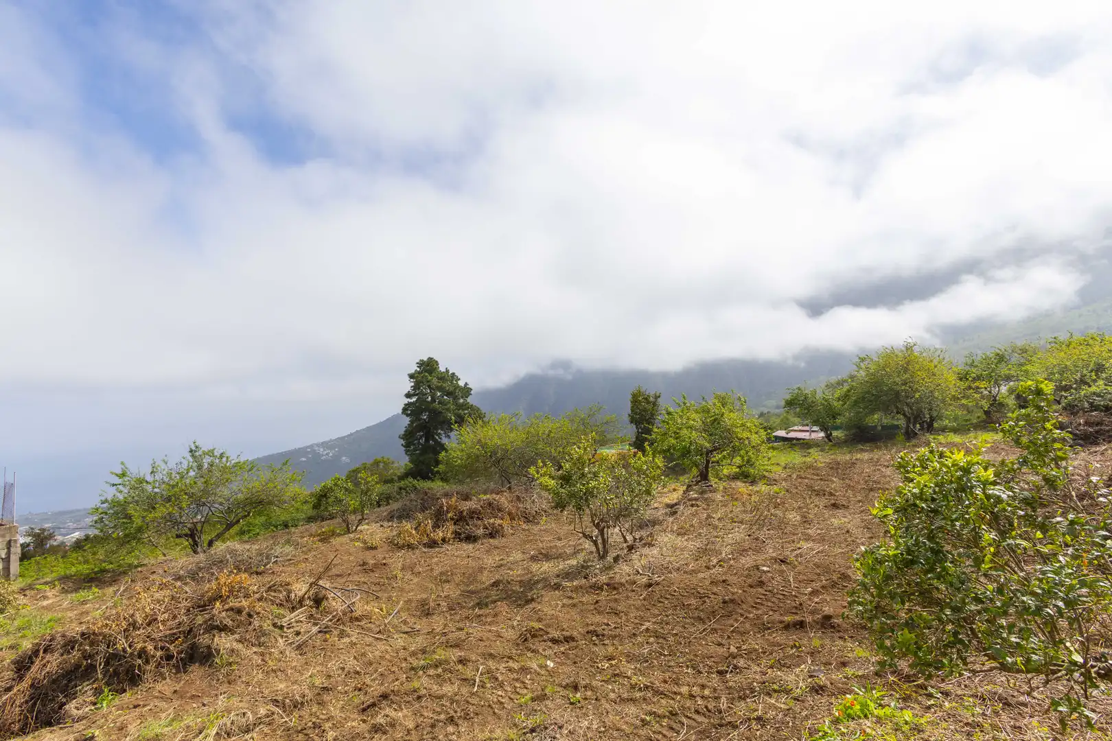 Casa o chalet en venta en La Orotava con Jardín privado, Terraza y Trastero