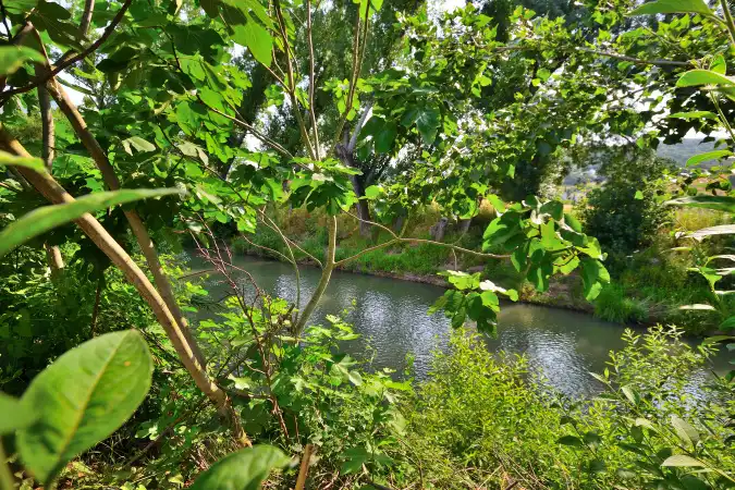 Außenansicht von Grundstücke zum Verkauf in Cortes de la Frontera