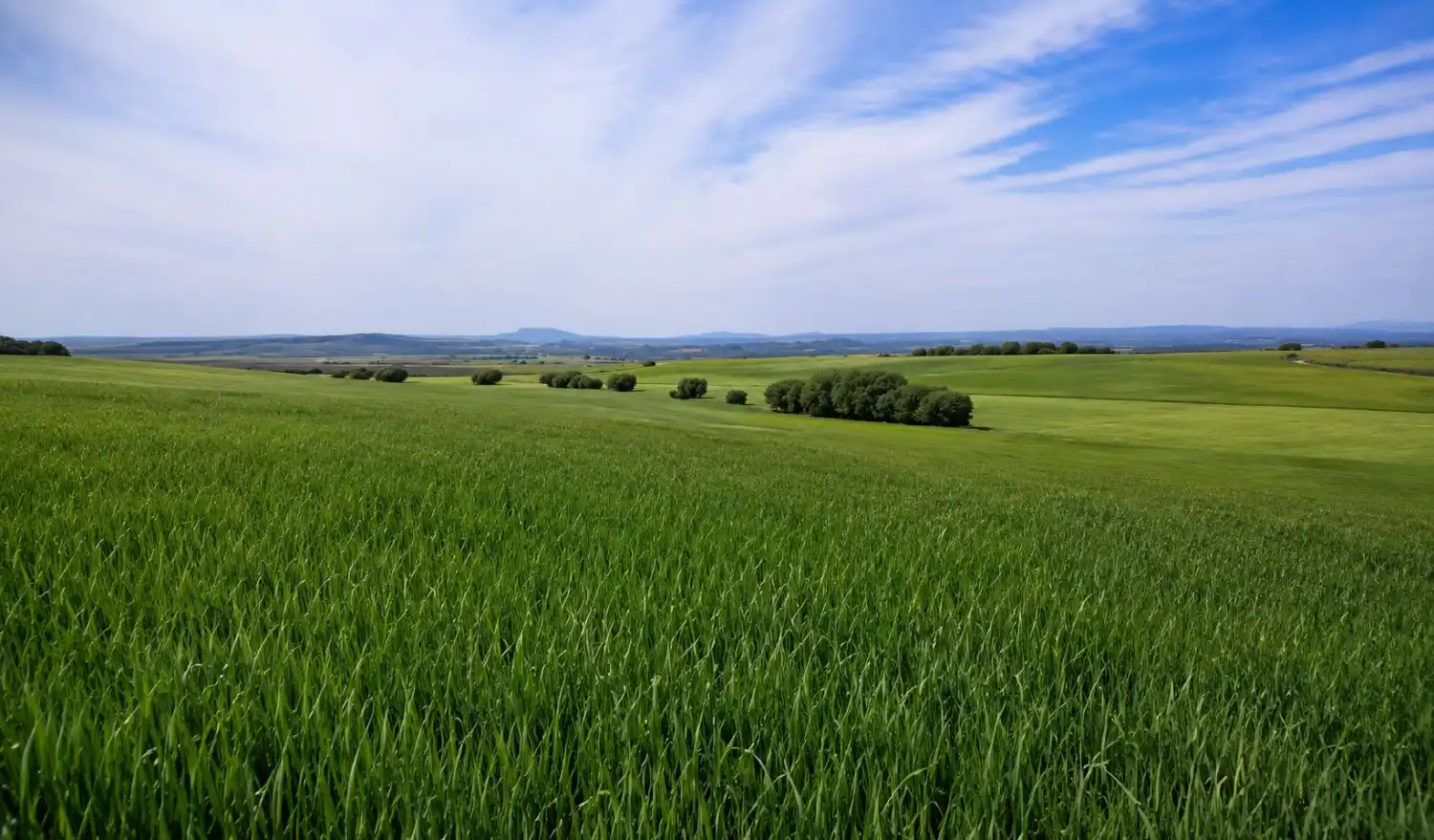 Finca rústica en venta en GURREA DE GALLEGO, Gurrea de Gállego