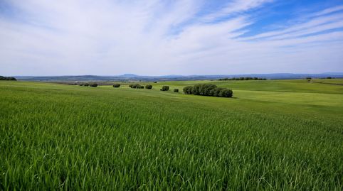 Foto 2 de Finca rústica en venta en Gurrea de Gallego, 00, Gurrea de Gállego, Huesca