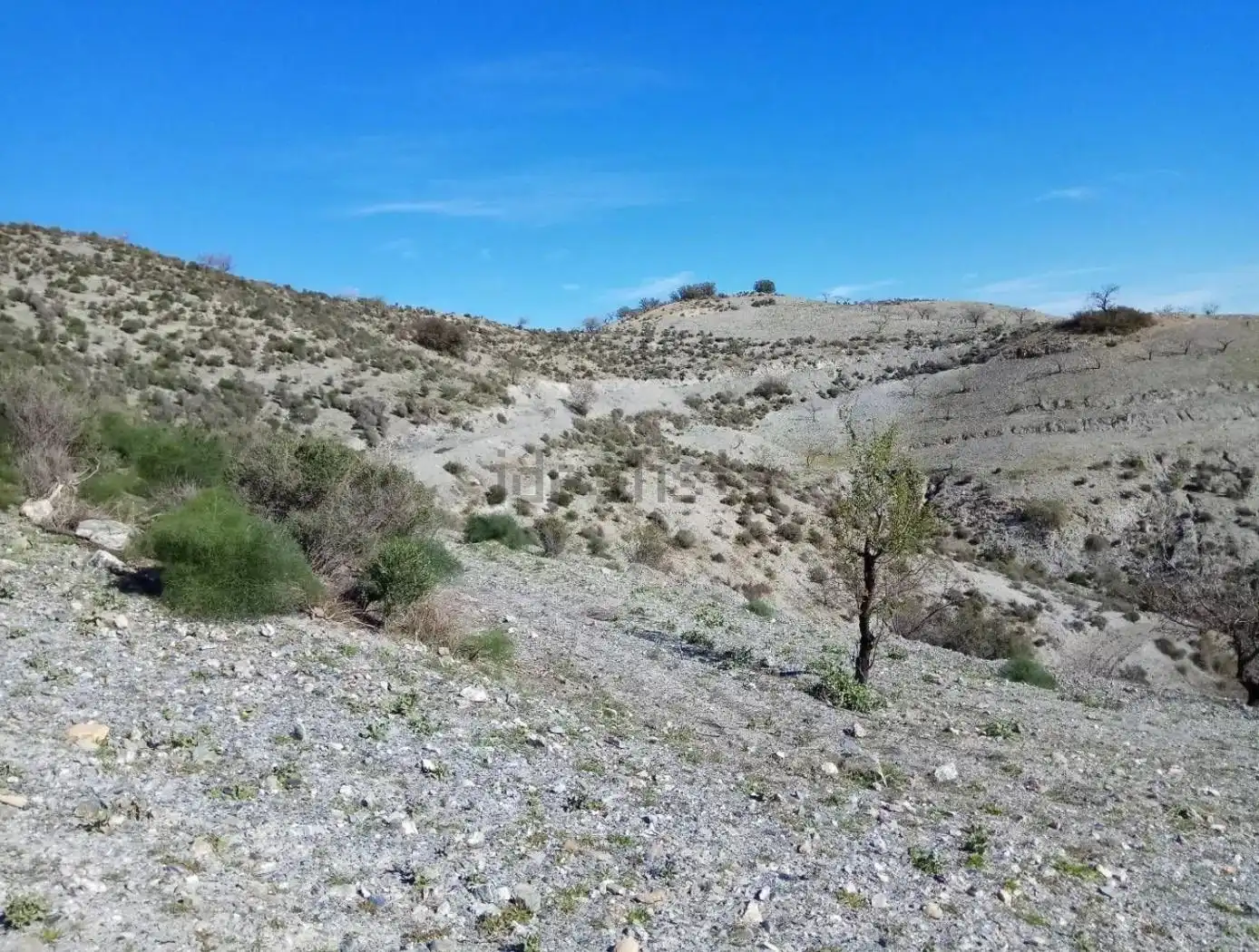 Terreny rústic en venda a Puerto Lumbreras, imagen 11