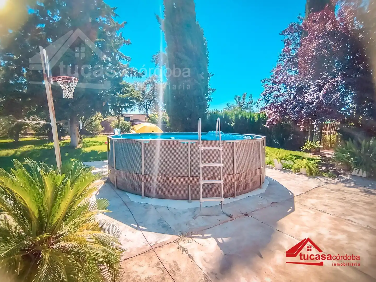Piscina de Casa o xalet en venda en Córdoba amb Aire condicionat, Calefacció i Jardí privat