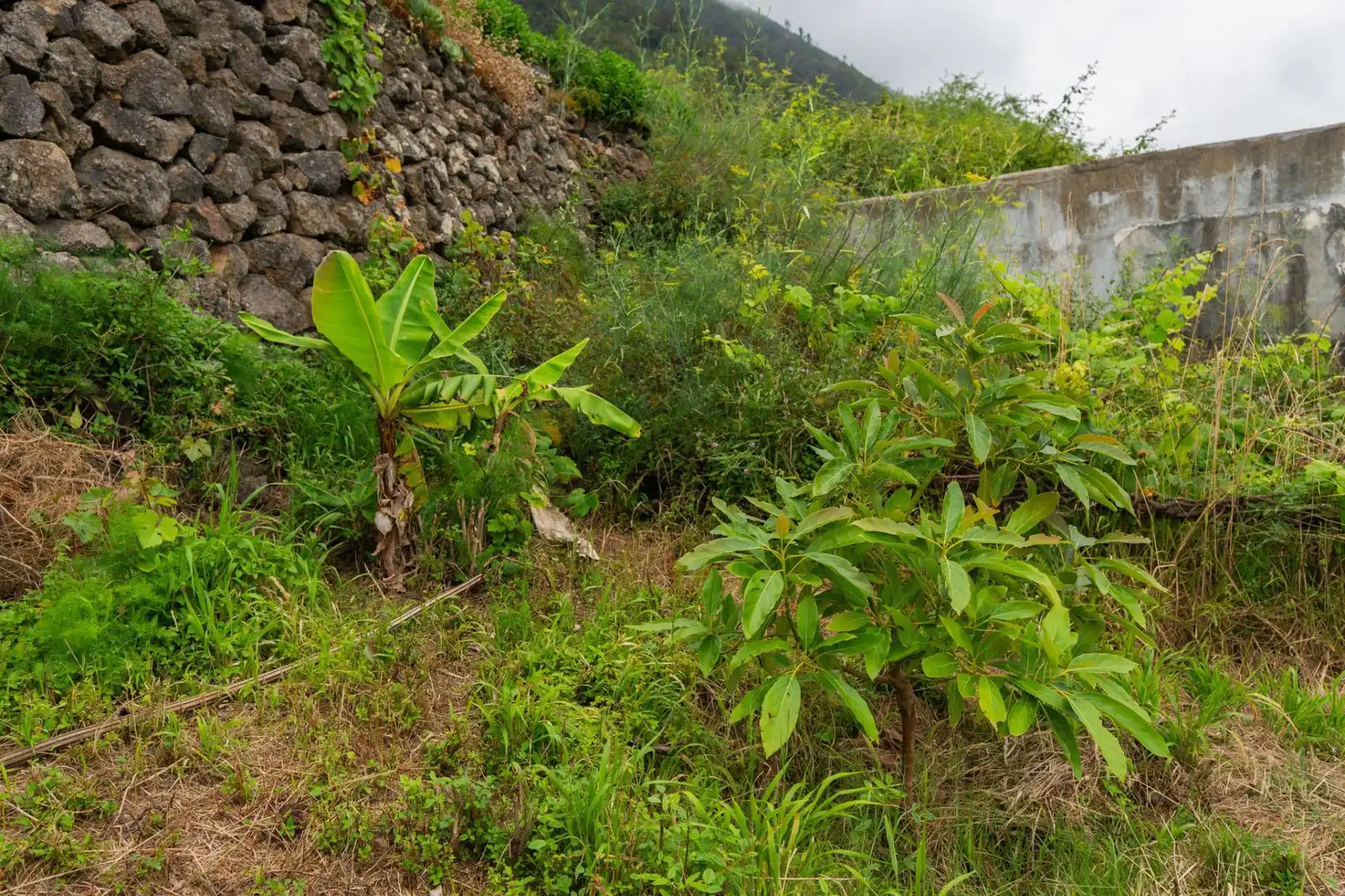 Terreno rustico in vendita a Las Cuevas - Los Gómez, imagen 14