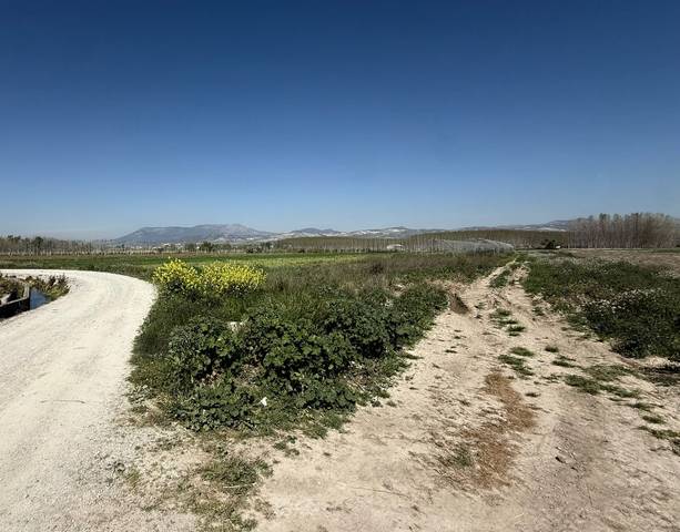 Terreno en Venta en Paseo del Prado, 3 en Fuente Vaqueros