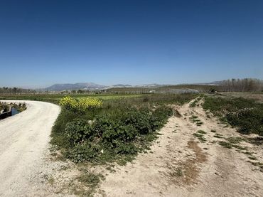 Terreno rustico in vendita a Paseo del Prado 3