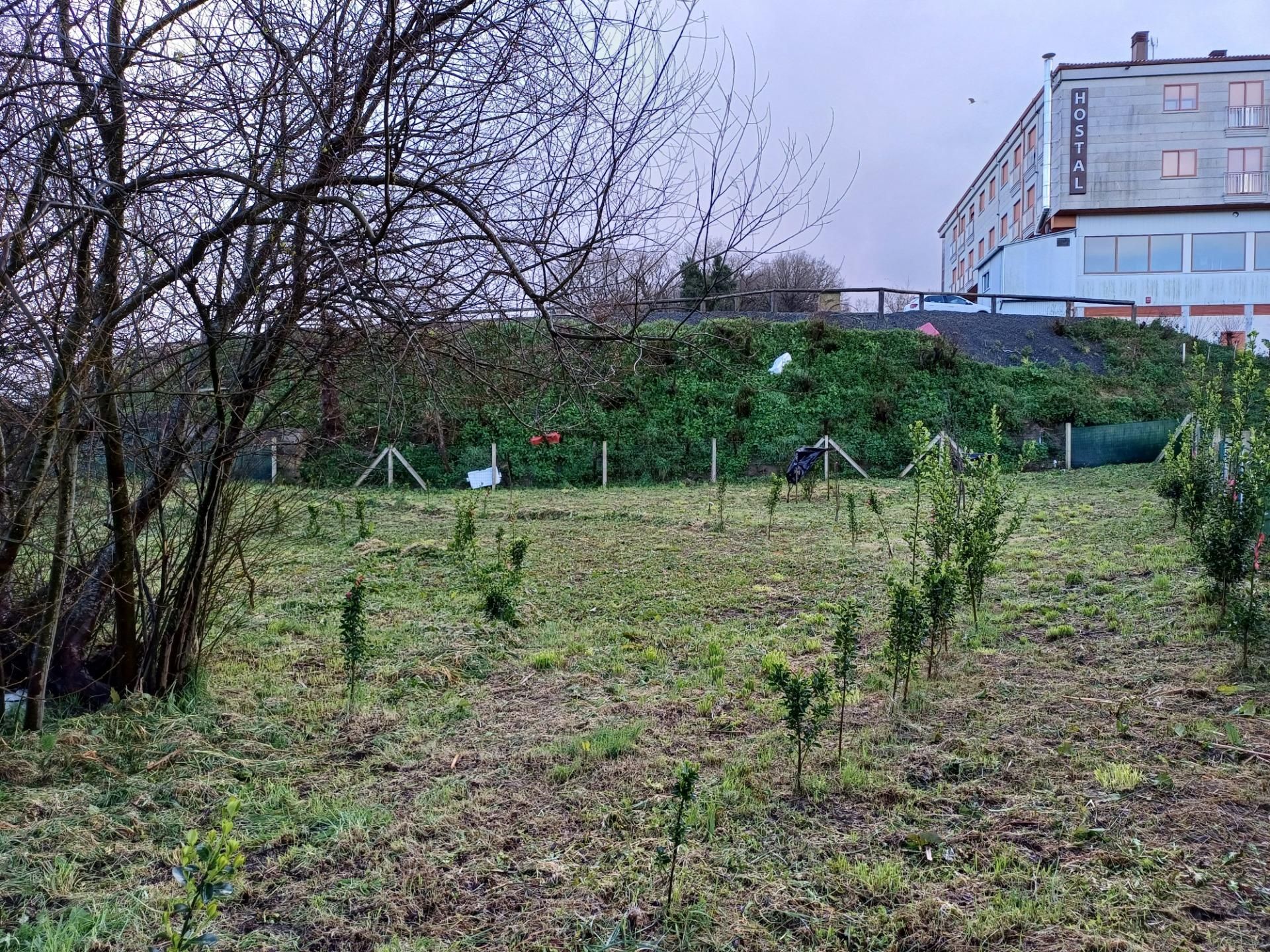 Terreno en venta en Silleda