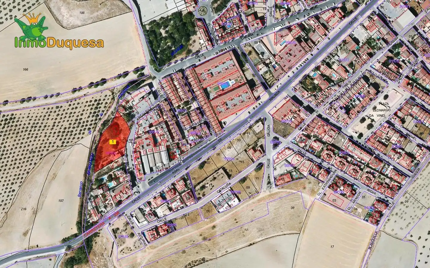 Terreni e lotti in vendita a Calle La Piconera SN, imagen 2