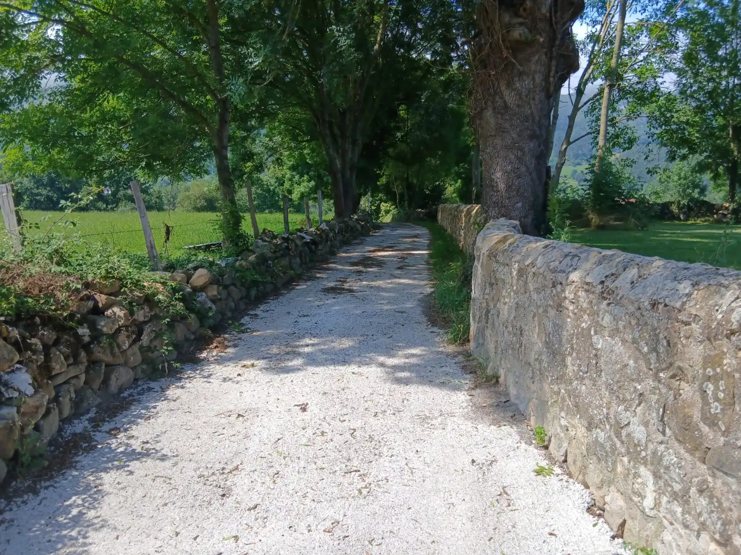 Terreni e lotti in vendita a San Felices de Buelna, imagen 7