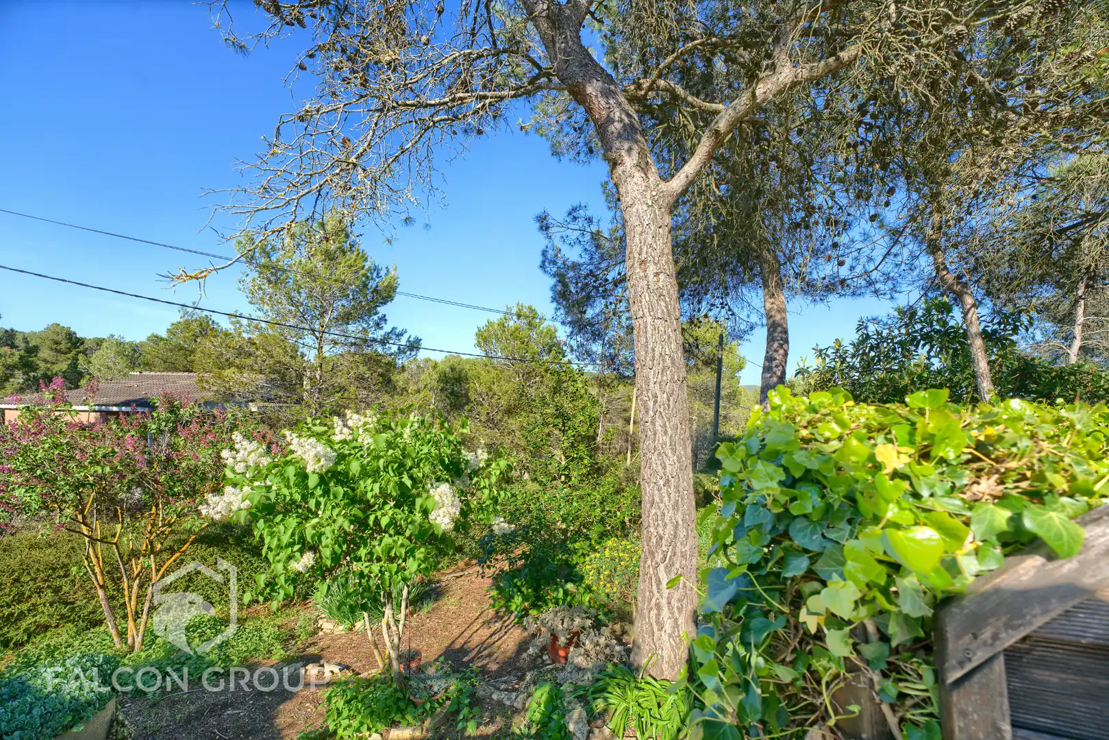Jardín de Casa o chalet en venta en Querol con Jardín privado, Terraza y Trastero