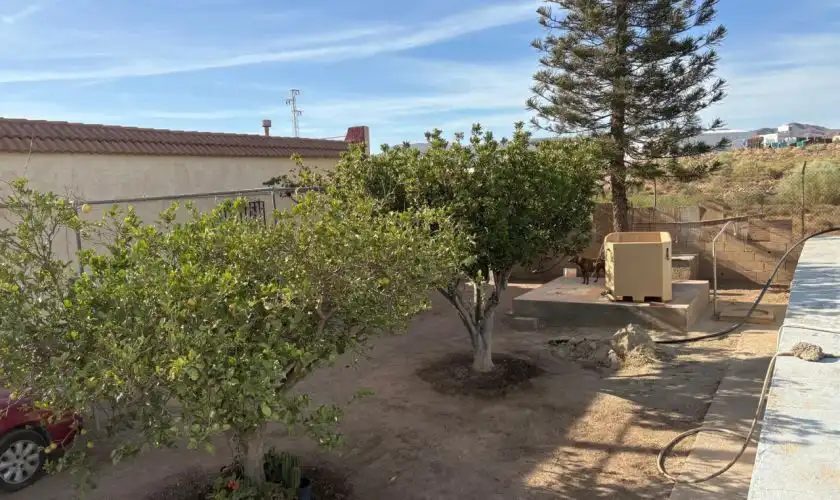 Jardí de Casa o xalet en venda en Níjar amb Jardí privat, Terrassa i Piscina