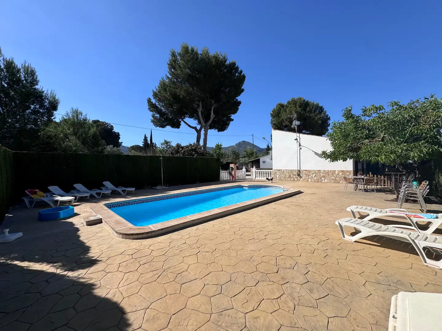 Piscina de Finca rústica en venta en Villena con Aire acondicionado, Calefacción y Jardín privado