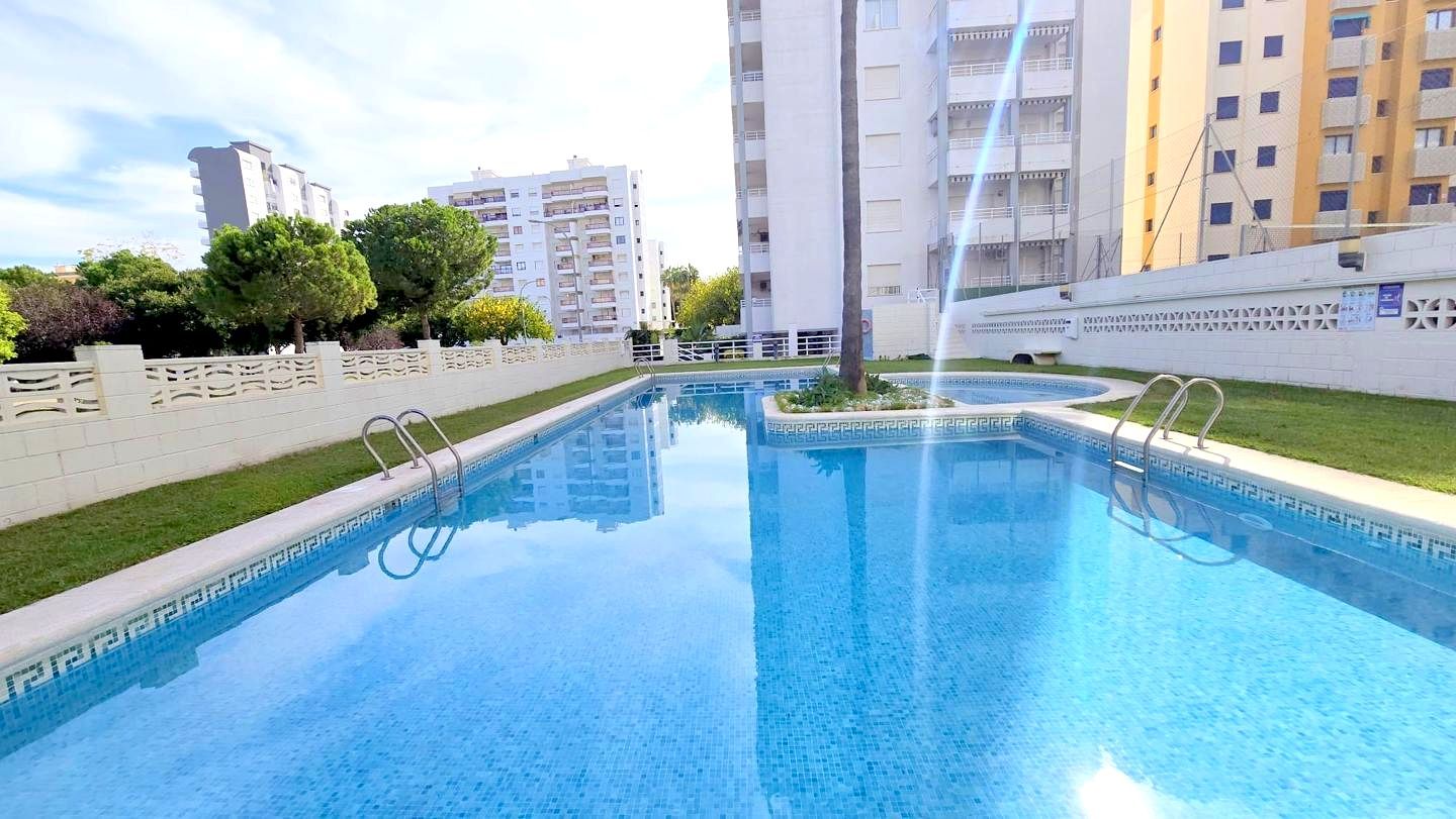 Swimming pool of Duplex to rent in Gandia  with Air Conditioner, Terrace and Furnished